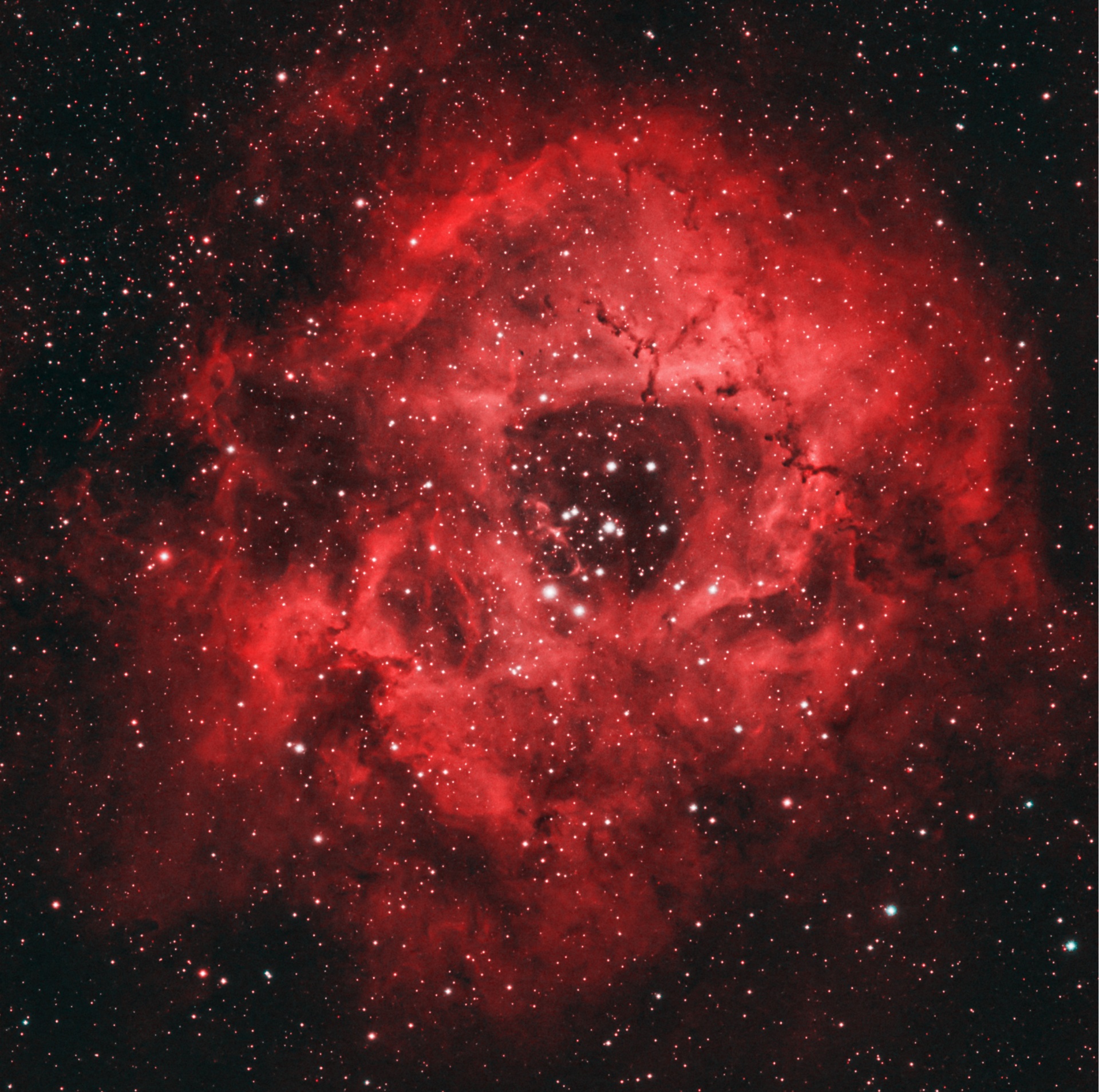 Rosette Nebula | CosmicPixels